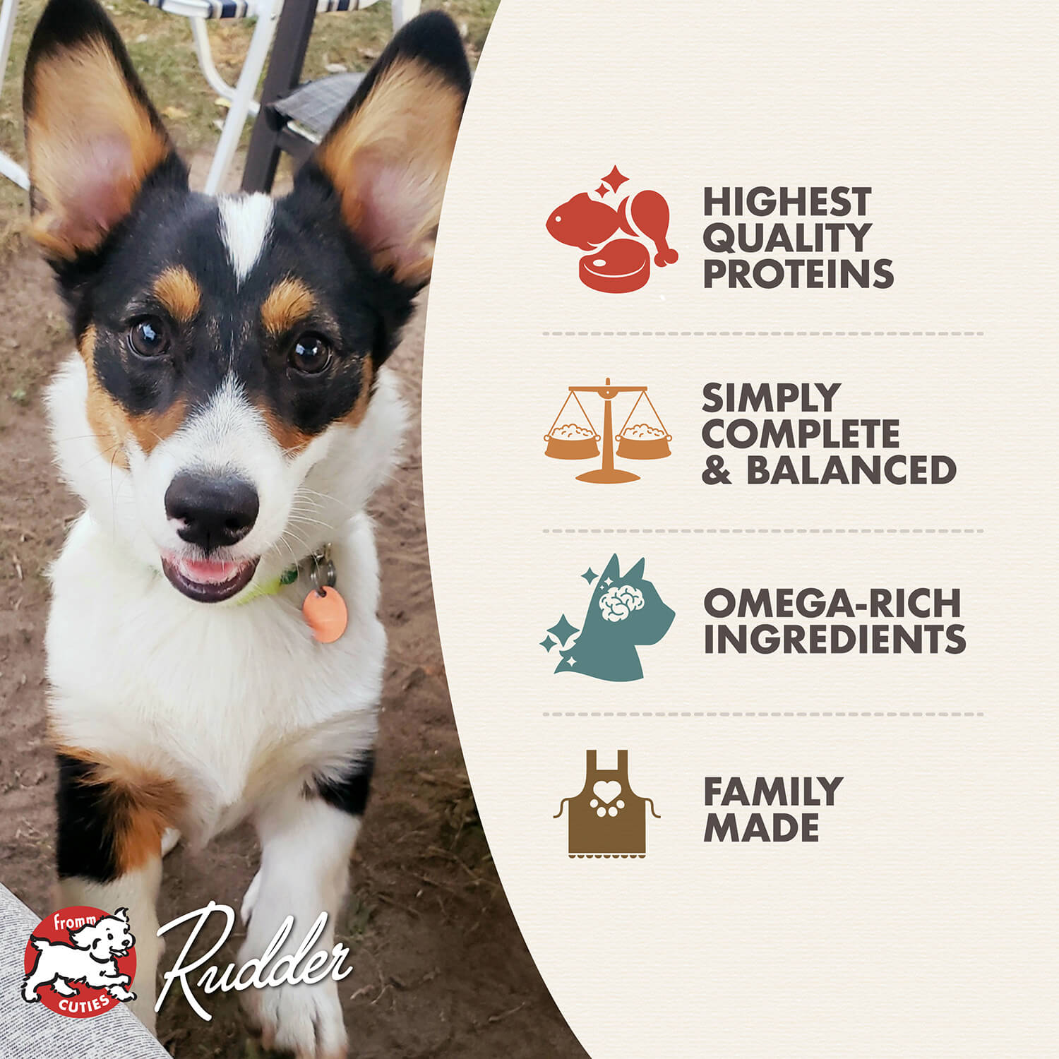 Fromm Classic Puppy Pâté Chicken & Salmon Canned Dog Food 12.5oz