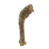 Vital Essentials Raw Bar Freeze-Dried Dog & Cat Treatsl