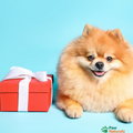 Paw Naturals Gift Card $10.00 - Paw Naturals