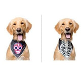 Pet Krewe Glow Halloween Bandana