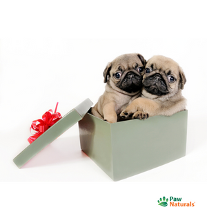 Paw Naturals Gift Card $25.00 - Paw Naturals