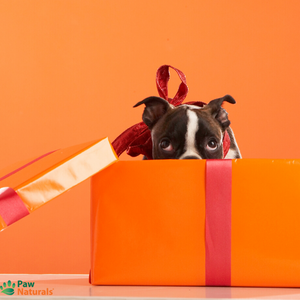 Paw Naturals Gift Card $50.00 - Paw Naturals