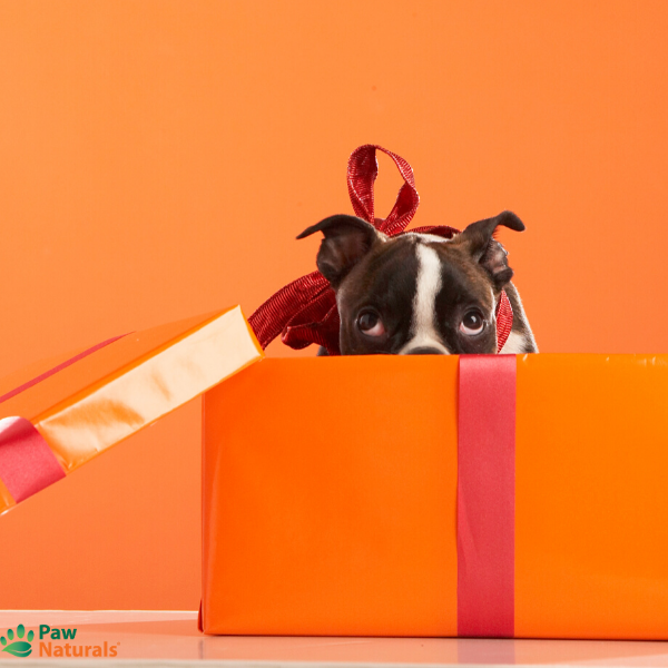 Paw Naturals Gift Card $50.00 - Paw Naturals