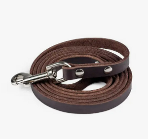 Mighty Paw Leather 6' Dog Leash - Paw Naturals
