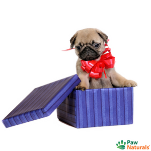 Paw Naturals Gift Card - Paw Naturals