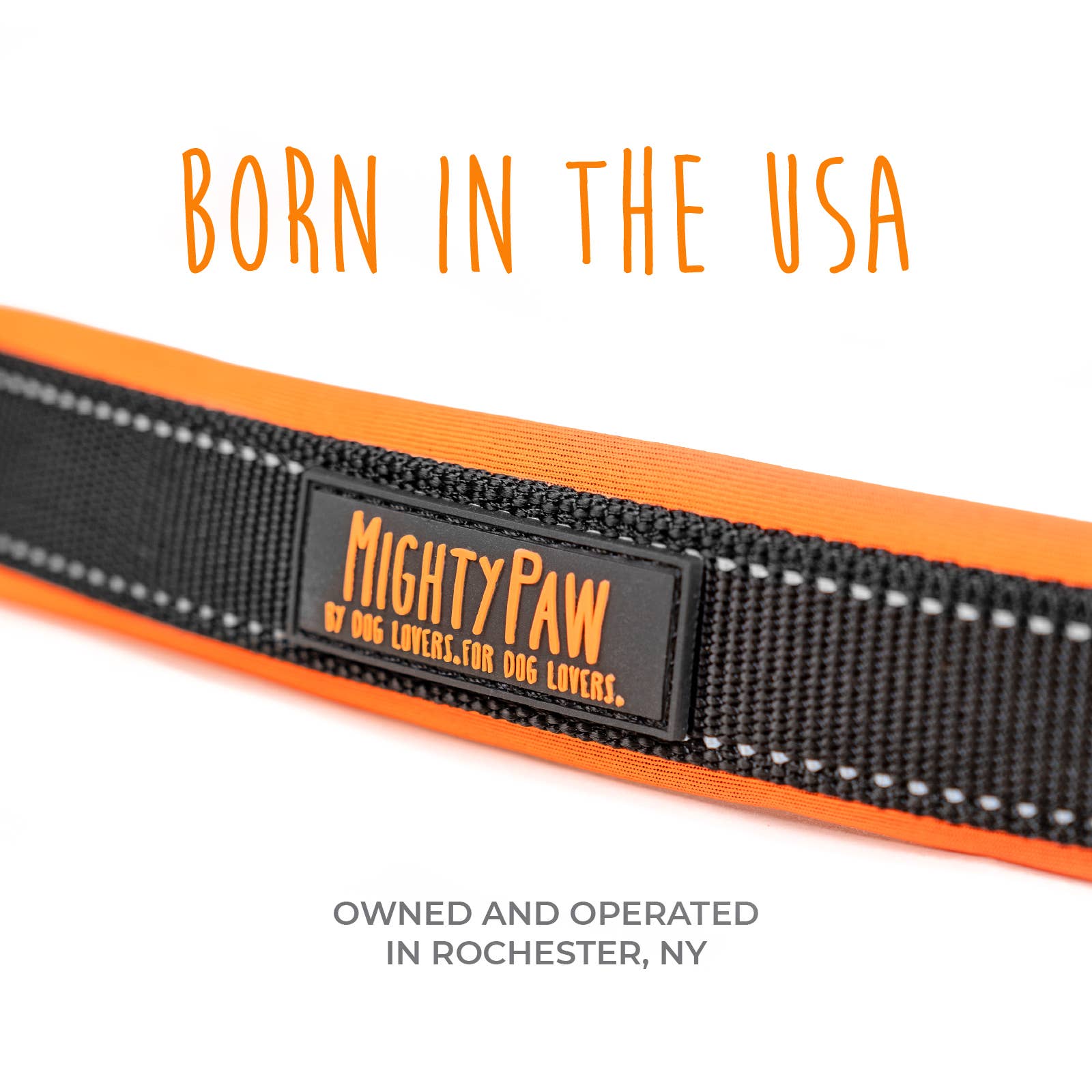 Mighty Paw Sport Collar 2.0 - Paw Naturals