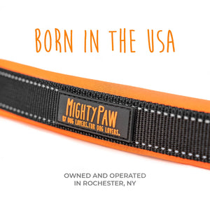 Mighty Paw Sport Collar 2.0 - Paw Naturals