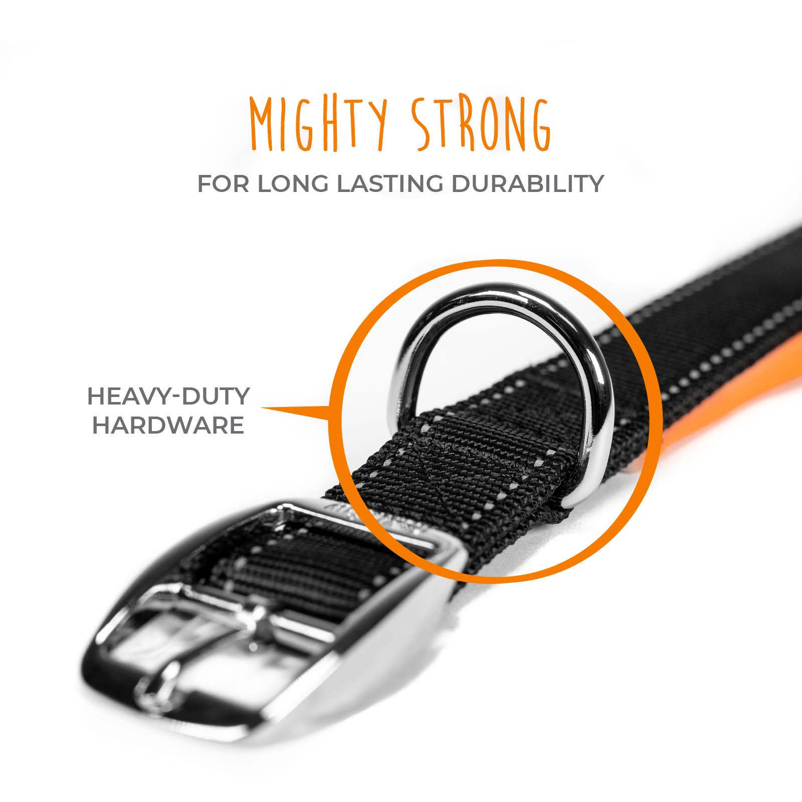 Mighty Paw Sport Collar 2.0 - Paw Naturals