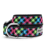 The Worthy Dog Carnival Check Collection Collars