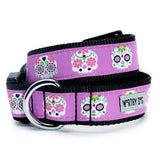 The Worthy Dog Skeletons Collection Collars