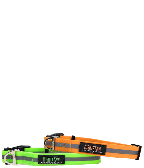 Mighty Paw Waterproof, Stink Proof, Dog Collar & Leash, 6-ft long - Paw Naturals