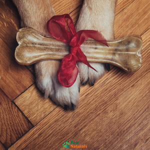 Paw Naturals Gift Card - Paw Naturals