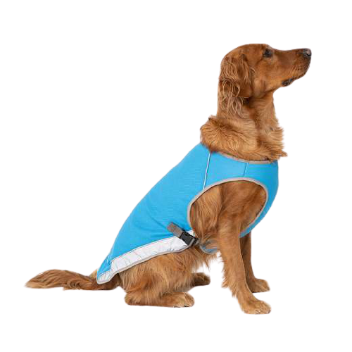 Canada Pooch Cooling Vest in Aqua
