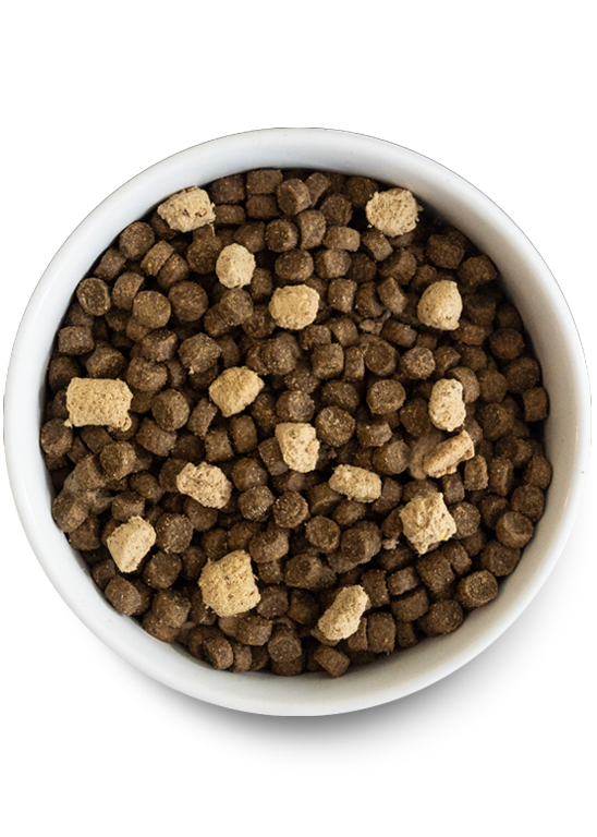Open Farm RawMix Ancient Grains Open Prairie Dry Dog Food