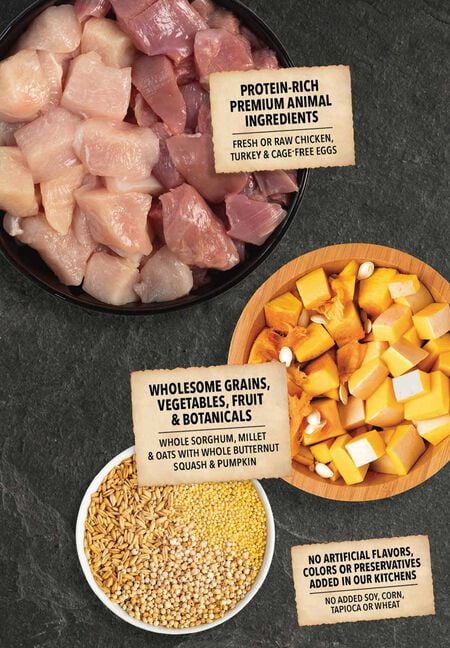 Acana Wholesome Grains Free-Run Poultry Recipe Dry Dog Food