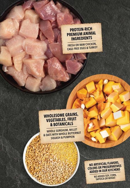 Acana Wholesome Grains Small Breed Dry Dog Food