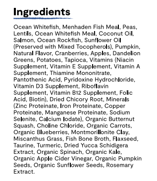 Open Farm Cat RawMix Grain-Free Wild Ocean Dry Cat Food