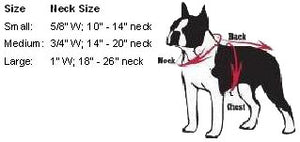 Pets First Co. NFL Chicago Bears Dog Collar - Paw Naturals