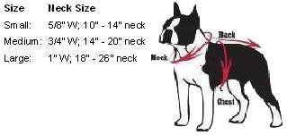 Pets First Co. NFL Chicago Bears Dog Collar - Paw Naturals