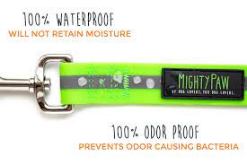 Mighty Paw Waterproof, Stink Proof, Dog Collar & Leash, 6-ft long - Paw Naturals
