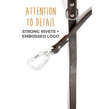 Mighty Paw Leather 6' Dog Leash - Paw Naturals