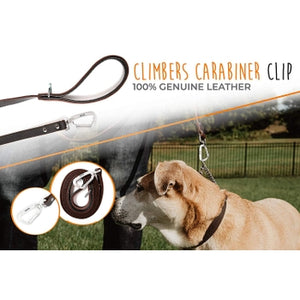 Mighty Paw Leather 6' Dog Leash - Paw Naturals