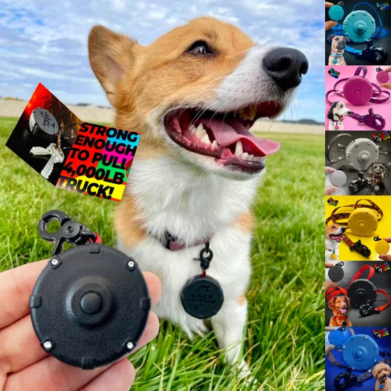 Lazy Leash Mini Wearable Power Leash - Paw Naturals