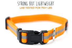 Mighty Paw Waterproof, Stink Proof, Dog Collar & Leash, 6-ft long - Paw Naturals